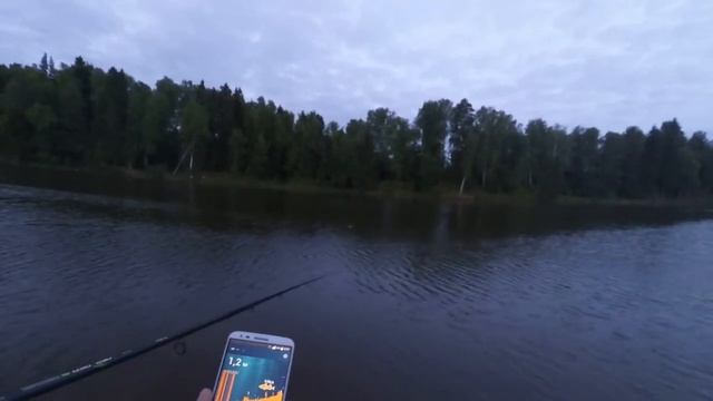 Ищем карпа на эхолот практик 7 смотреть онлайн