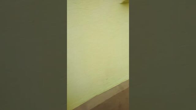 Говоря мне друг подарил на день рождения кошку смотреть онлайн