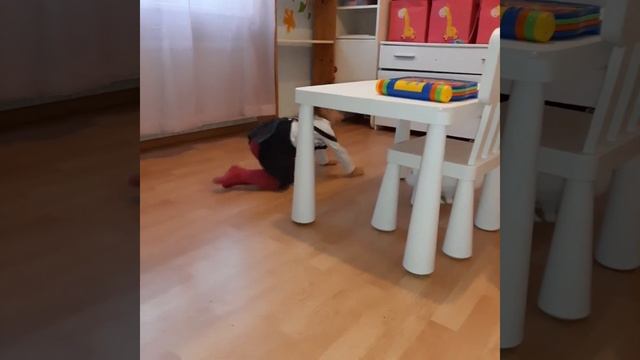 VLOG: Кролик или два? ?Покупки и Распродажа 80% ? 04.08.20