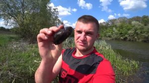 ЛОВИМ РЕЧНЫХ МИДИЙ! ГОТОВИМ НА КОСТРЕ! / Виталий Зеленый
