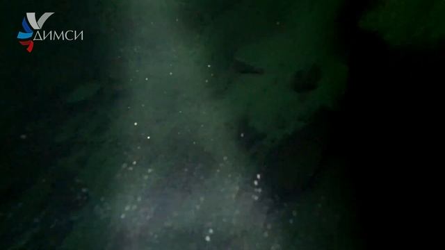 Суровый подледный экологический дайвинг в России с клубом ДИМСИ февраль 2020 смотреть онлайн
