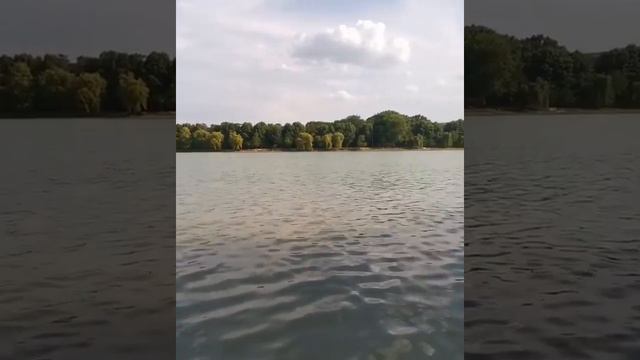 В Ессентуках после заражения людей паразитами с городского озера «депортируют» диких уток смотреть онлайн