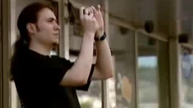 Кошки и пластиковые окна - это опасно! смотреть онлайн