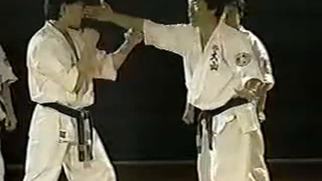 Kihon-Sono_Hachi.wmv Oyama Karate смотреть онлайн