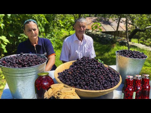 Сбор Дикой Ежевики в Горах и Приготовление Ежевичного Пирога и Варенья в Деревне смотреть онлайн