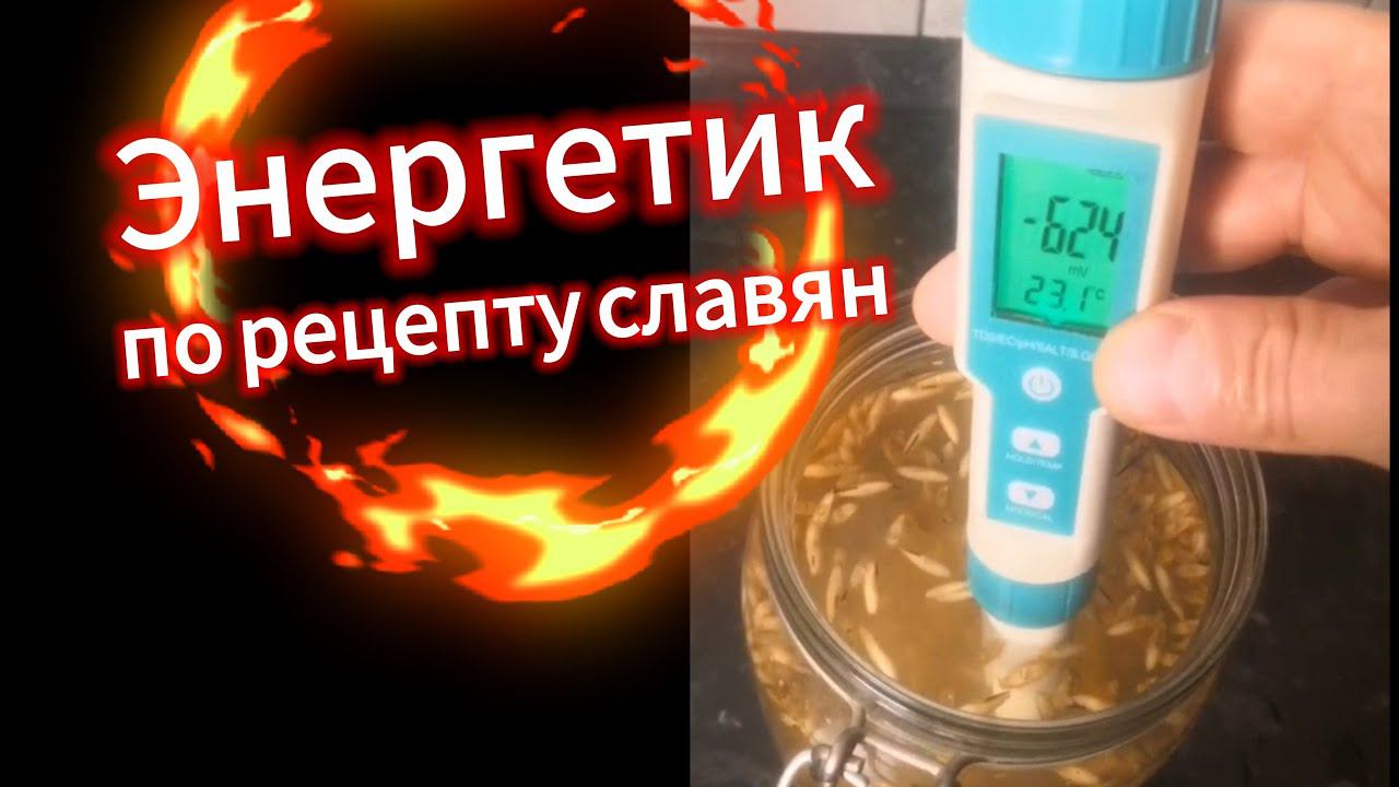 Сурица рецепт приготовления|Похудей за 8 дней