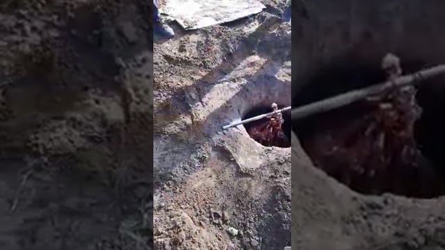 Ногайцы национальное блюдо смотреть онлайн