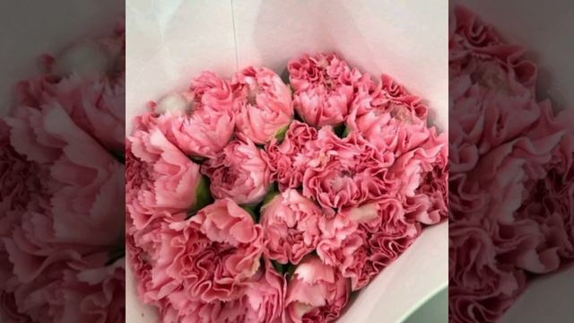 CARNATION & GERBERA (CHINA & LC) #garden #flowers #short смотреть онлайн