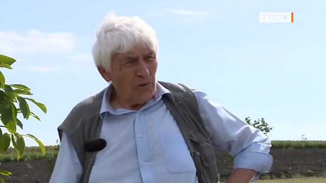 Ореховое Будущее Приднестровья. Как Вырастить Самый Ценный Орех. 6 Соток. 05 09 2022 смотреть онлайн