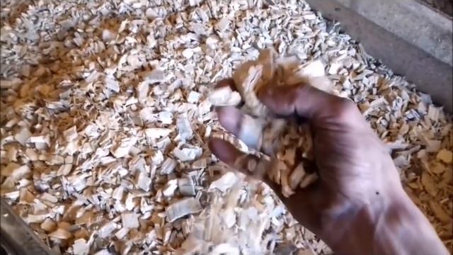 Измельчитель древесины однородная щепа. Chopper homogeneous wood chips. смотреть онлайн