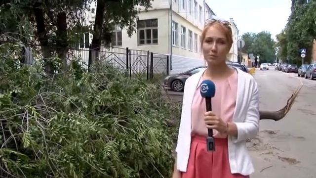 Сильный ветер в Саратове повалил столбы и оборвал провода смотреть онлайн