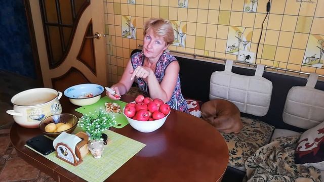 Отпуск с собакой-таксой на море смотреть онлайн