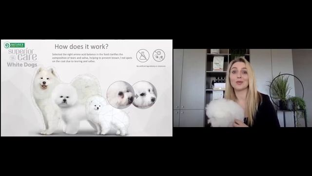 SUPERIOR CARE White Dogs смотреть онлайн