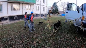 Ремонт меж панельных швов. Виды ремонта шва с пояснением и примерами.