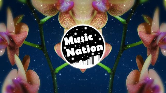 🎶Miley Cyrus - Flowers (Josh Marriott Remix)🎶 смотреть онлайн