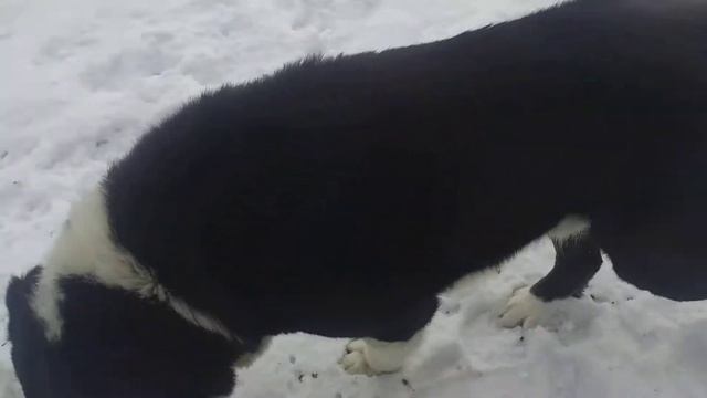 Радость Материнских Объятий