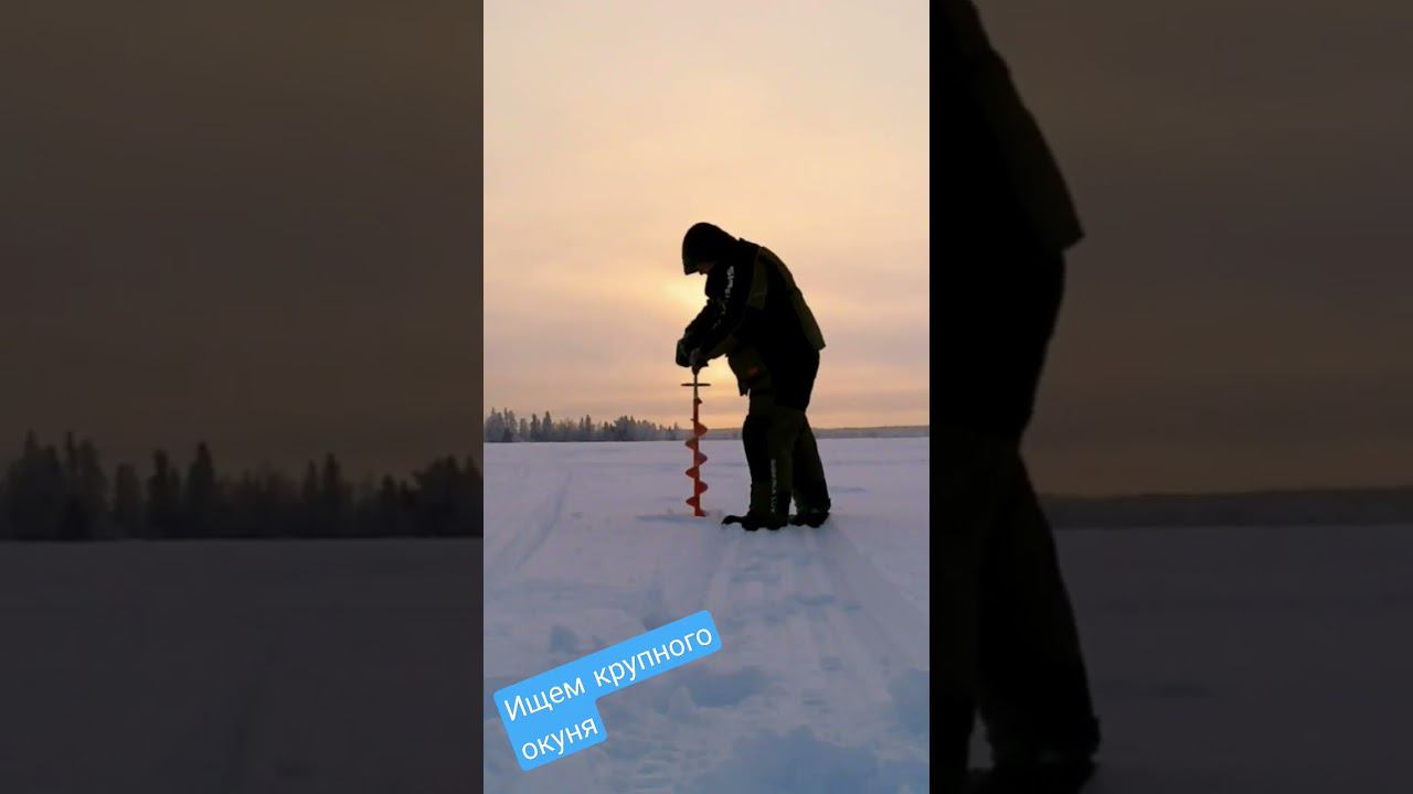 Ищем рыбу.Озеро Вышка. Полное видео на канале #окунь #зимняярыбалка смотреть онлайн