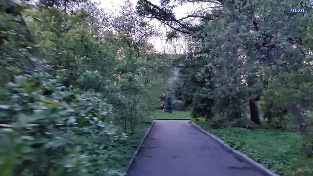 Вечерняя прогулка вокруг МГУ на Воробьёвых горах - стрим Москва смотреть онлайн