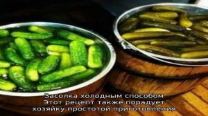 Пошаговая инструкция по засолке огурцов в бочке своими руками