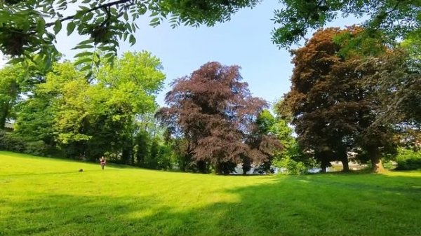 Велопутешествие в одиночку к замку Радун  ( Радунь - Raduň chateau )