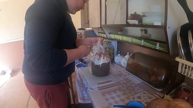 ПОБЕЛИЛА ДЕРЕВЬЯ/ПРИГОТОВИЛА УЖИН смотреть онлайн