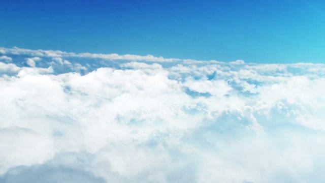 #SEO #Traffic смотреть онлайн