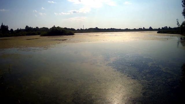 дом где живут чайки ,озеро Киёво , прикольное место. смотреть онлайн
