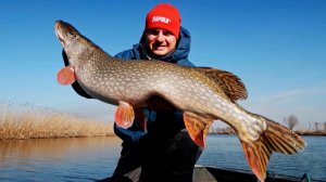 017_ТОП-3 приманки, с которыми без рыбы не останешься! Как ловить на поролон и воблеры-дип.