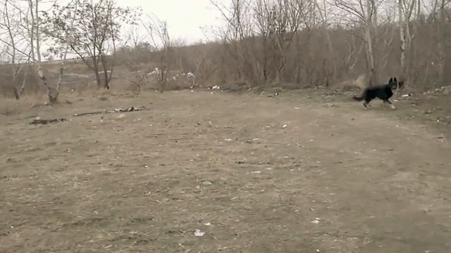 поиск предмета смотреть онлайн