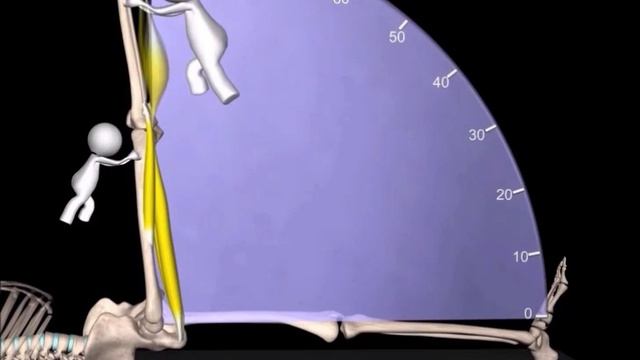 Тест Ласега