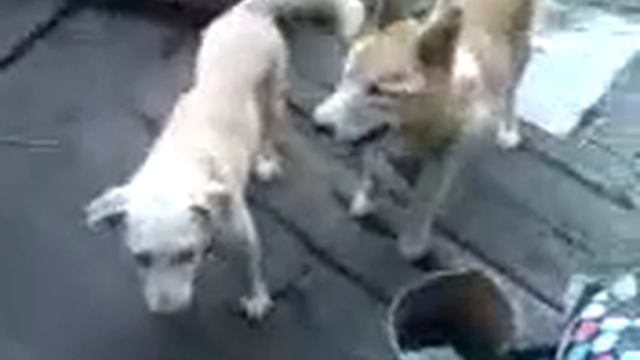 Это видео было 3 года назад и у меня был такой голос детский🤧 смотреть онлайн