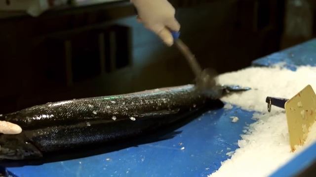 Модельный ряд грилей Big Green Egg смотреть онлайн