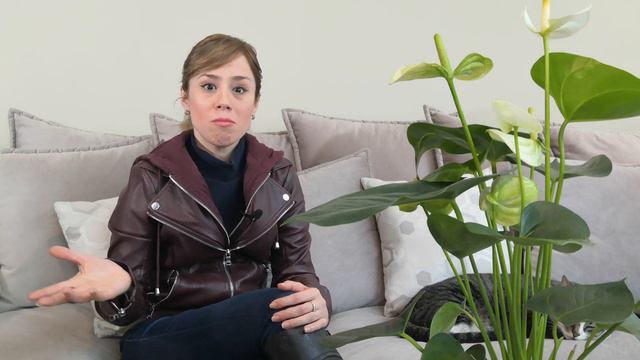 ANTURIOS DESCUBRE SU ORIGEN Y SIGNIFICADOS ❤️ 🍃 смотреть онлайн