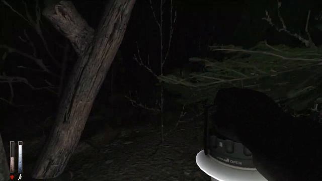 Cry of Fear | #17 | ЛЕС САМОУБИЙЦ смотреть онлайн