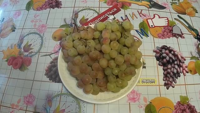 Как ХРАНИТСЯ у меня виноград зимой. смотреть онлайн