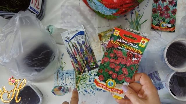 Удачные и неудачные посевы семян цветов. смотреть онлайн