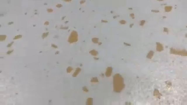 Обзор грес технічний потовщений ZSX33R 30x30 14 мм смотреть онлайн