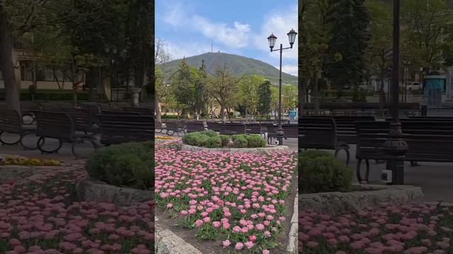 Пятигорский Цветник - насладись красотой весенних красок.