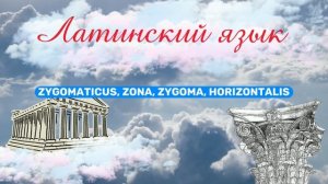 Латинский язык для медиков #1 Введение: фонетика, диграфы и дифтонги, произношение, ударение.