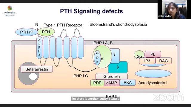MedEClasses Postgraduate Pediatric Endocrinology Lecture Series смотреть онлайн