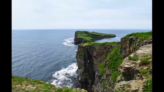 ДВФУ университет будущего остров Русский прогулки по набережной смотреть онлайн