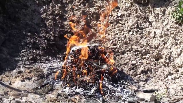 Как делать топливные брикеты из костры конопли и льна смотреть онлайн