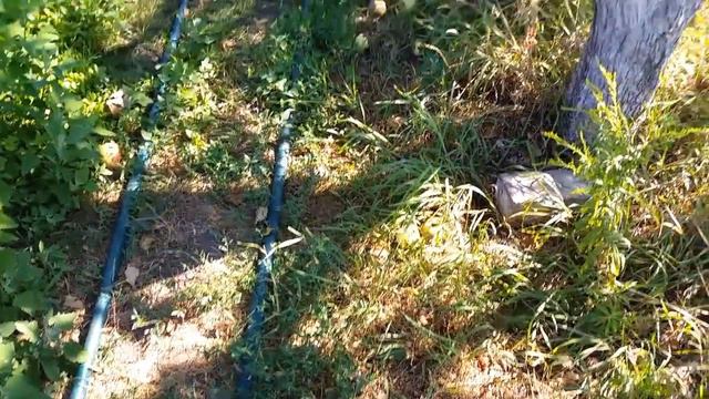 КЛИП МОРЕ САД 7 смотреть онлайн