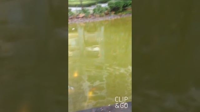 Принцесса Амира едет в Китай город Наньнин!!! Часть 1 смотреть онлайн