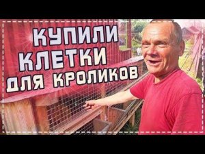 Купили Отличные Клетки Для Кроликов / Одели Полностью Всю Бригаду