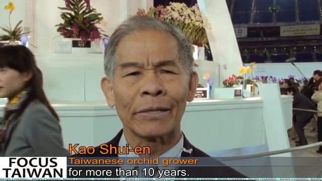 Taiwanese wins orchid award смотреть онлайн