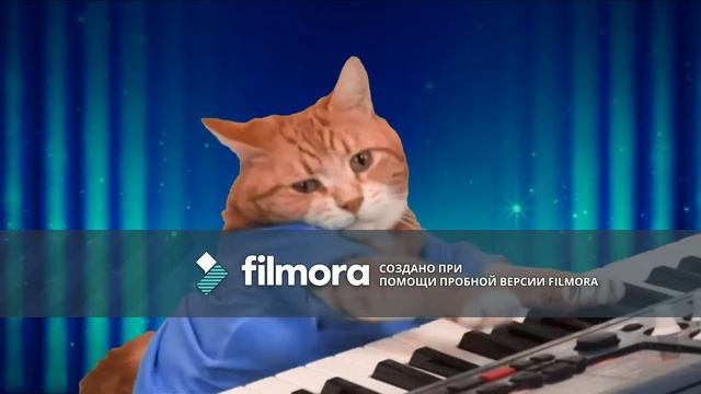Кот играет на пианино смотреть онлайн