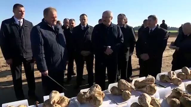 БЕЛАРУСЬ.Лукашенко:Рабочая поездка в Клецкий район Минской области смотреть онлайн