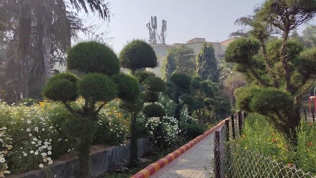 Школа Раджа Йоги. Ретрит Центр. Гургаон 6 смотреть онлайн