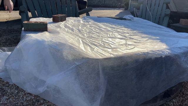 Camellias Bloom In The Winter Garden | Seasonal Tasks To Prepare For Spring